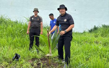 Optimalkan Lahan Dengan Tanam Pohon Kelapa, Lapas Narkotika Bandarlampung, Dukung Program Menteri IMIPAS