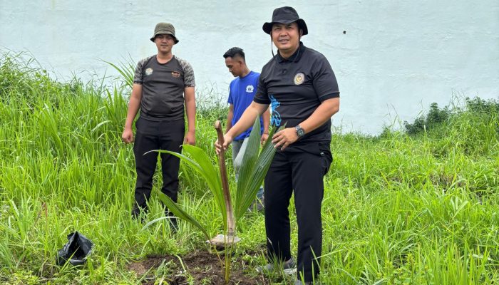 Optimalkan Lahan Dengan Tanam Pohon Kelapa, Lapas Narkotika Bandarlampung, Dukung Program Menteri IMIPAS