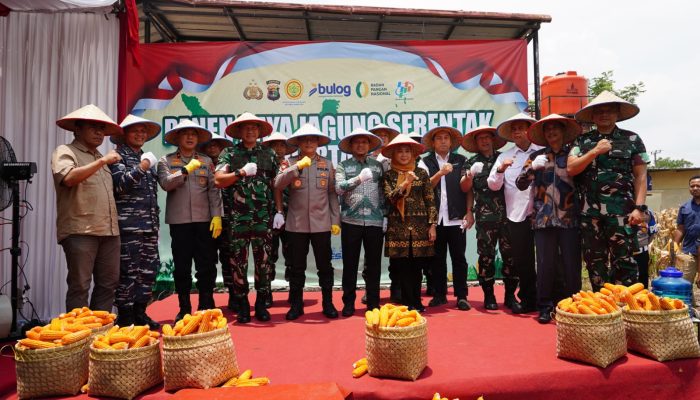 Panen Raya Serentak, Pangdam XXI/Radin Inten Hadir Bersama Polda Lampung
