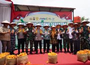 Perkuat Ketahanan Pangan Nasional, Danrem 043/Gatam Hadiri Panen Raya Serentak Kuartal III Polda Lampung