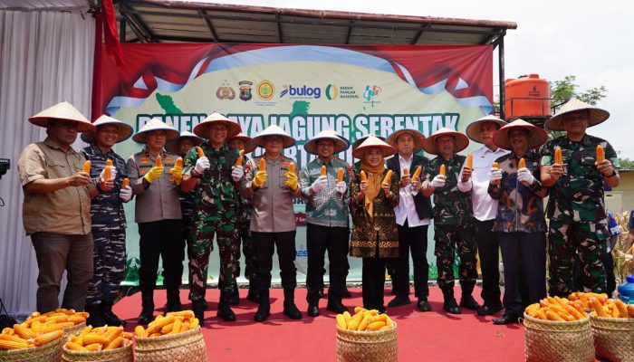 Perkuat Ketahanan Pangan Nasional, Danrem 043/Gatam Hadiri Panen Raya Serentak Kuartal III Polda Lampung