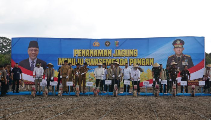 Danrem 043/Garuda Hitam Hadiri Penanaman Jagung dalam Rangka Mendukung Program Swasembada Pangan Nasional