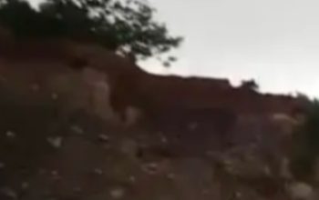 Di Duga Pengelola Tambang Ilegal, Di Kelurahan Kedamaian, Bantah Kegiatannya Ilegal